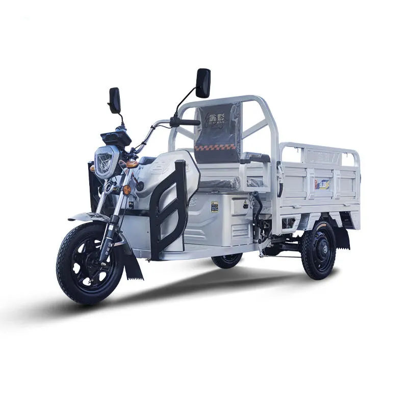 E-Trikes de marque chinoise célèbre bon marché tricycles électriques à 3 roues pour le fret