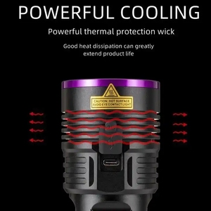 365 nm tipi C şarj edilebilir 18650 pil ultraviyole meşale ışık UV el feneri para dedektörü Pet İdrar dedektörü için filtre ile - Product Image 4