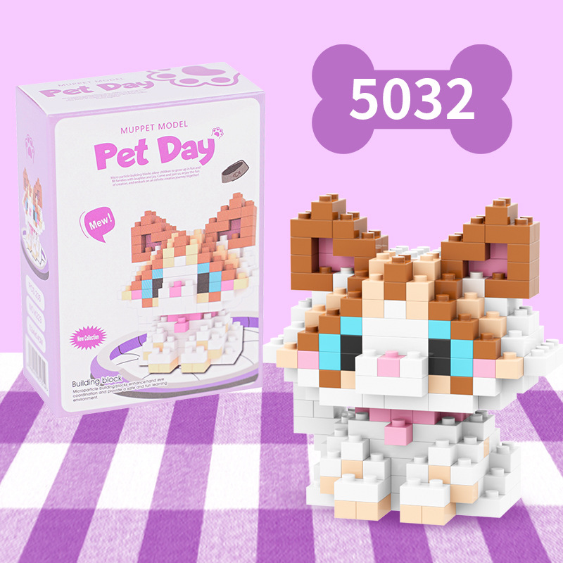Chat ragdoll blanc-5032