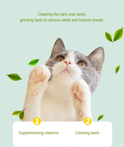 Pet Toy Wholesale 3-in-1 Rotating <strong>Catnip</strong> Ball Suction Cup Fixed High Nutrition Beneficial Health Pet <strong>Catnip</strong> Ball Toy - Product Image 3