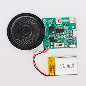 2-сторонний модуль Ahd-камеры 5 МП передатчик-модуль Bluetooth-аудио-Регистратор модуль с Sd-картой для подарочной игрушки - Product Image 6