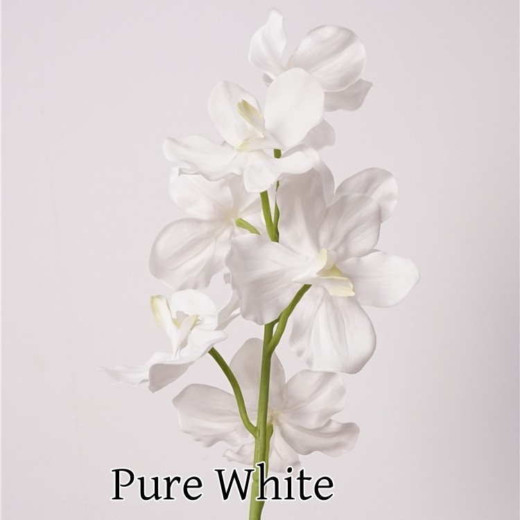 Blanc pur