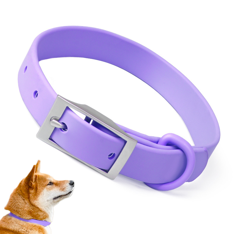 Purple collar