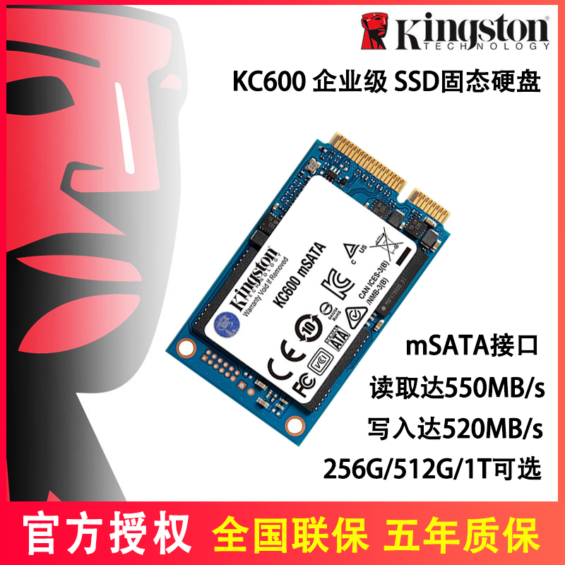 SKC600MS/256GB