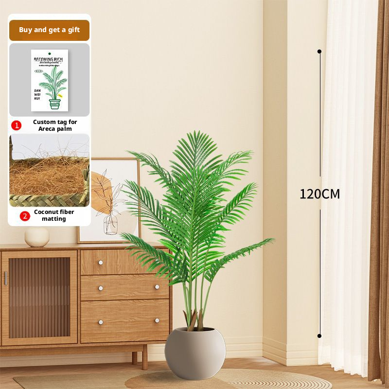 Palmier Areca vert 120CM, 8 tiges, 8 feuilles boule beige
