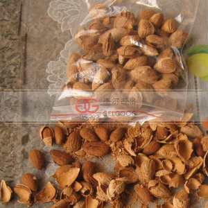 工业山核桃松子硬壳去除Badam杏仁脱壳脱壳机打破坚果 - Product Image 2