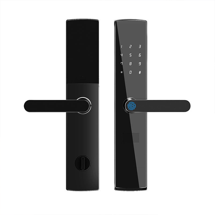 APP TTlock + impronta digitale + carta + Password + chiave