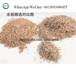 种子谷物重力分离机芝麻种子过滤筛分机大米去石机 - Product Image 4