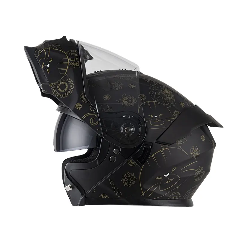 Fabrieksprijs Dot Flip Up Full Face Helm Dual Vizier Gouden Kat Bedrukt Motorhelm