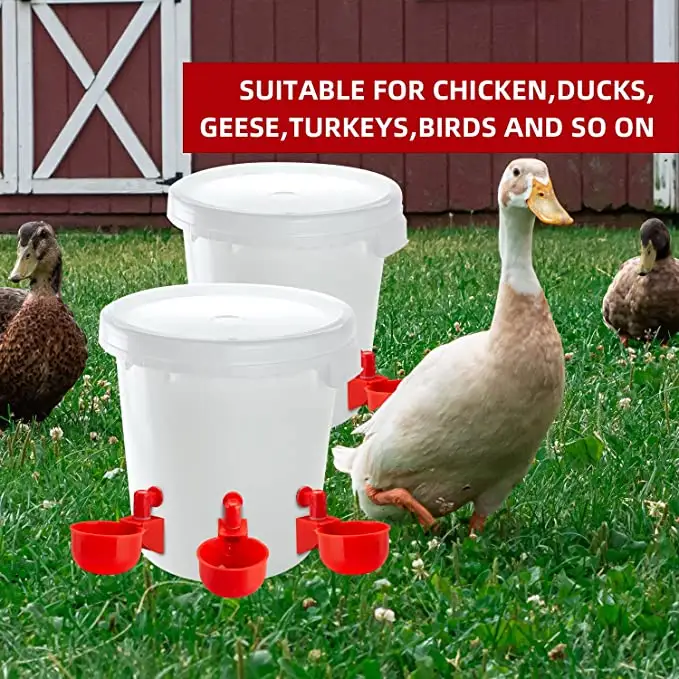 Gobelet d'eau pour poulet, 1 ensemble, bol automatique pour remplissage de filetage, convient aux poules, canards, oiseaux et turquoises