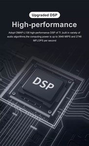 Профессиональный 2x4 цифровой DSP процессор звуковая система металлическая оболочка управления ПК программное обеспечение управления заводская цена PA аудиосистема - Product Image 4