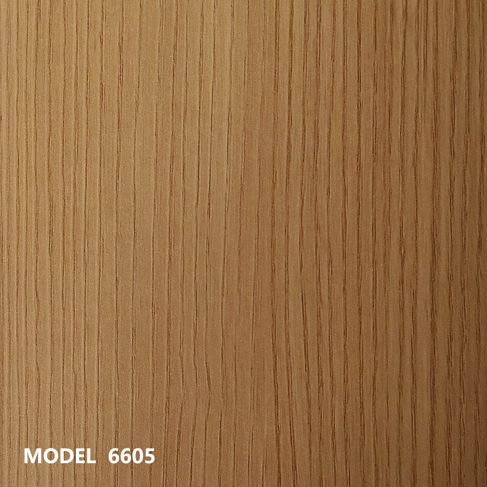 MODEL 6605