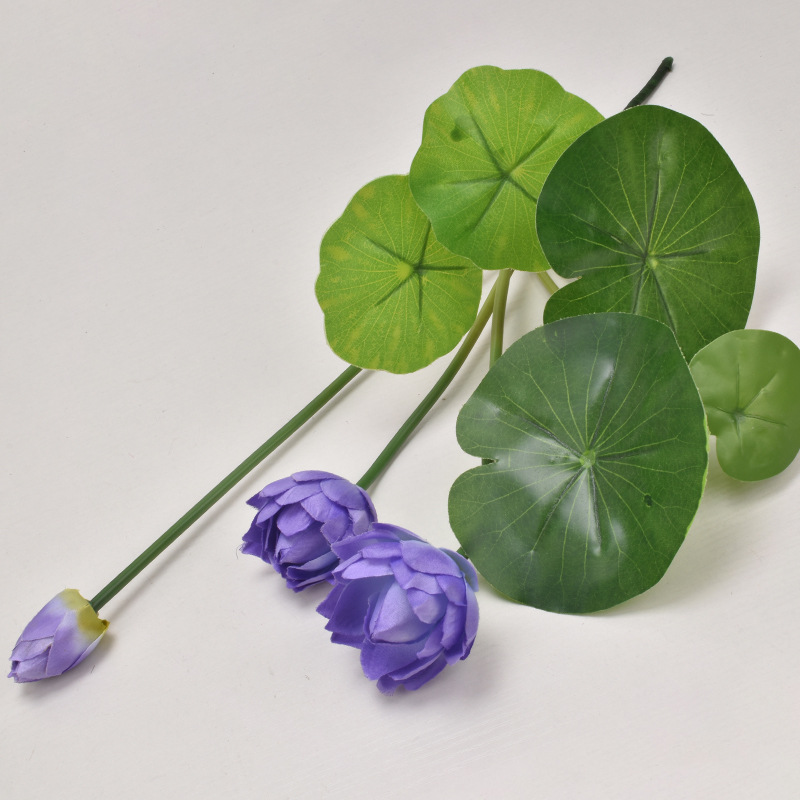 Gran loto morado