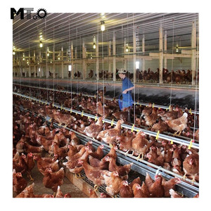 Gia Cầm Thiết Bị Nông Nghiệp Sàn Tự Động Nâng Cao Thiết Bị - Product Image 6