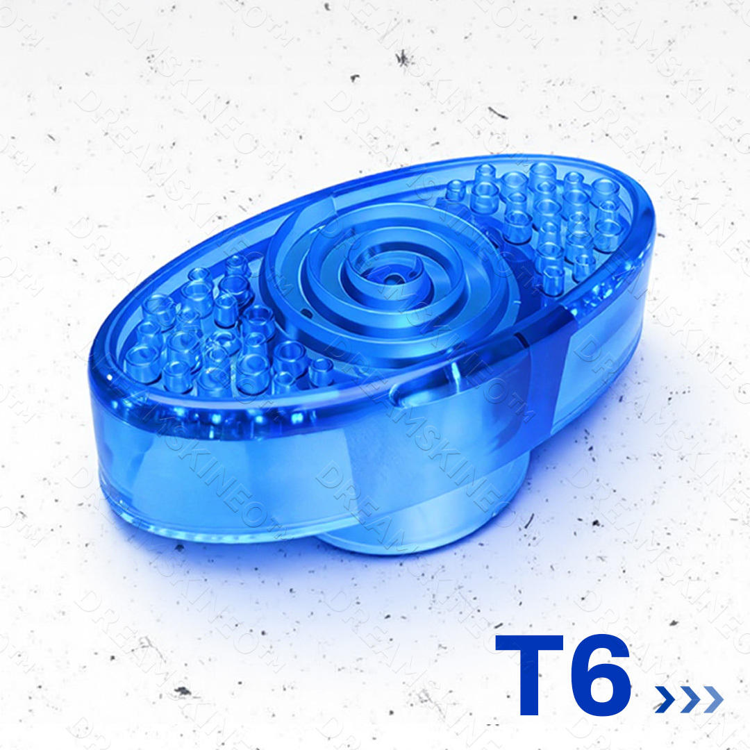 T6