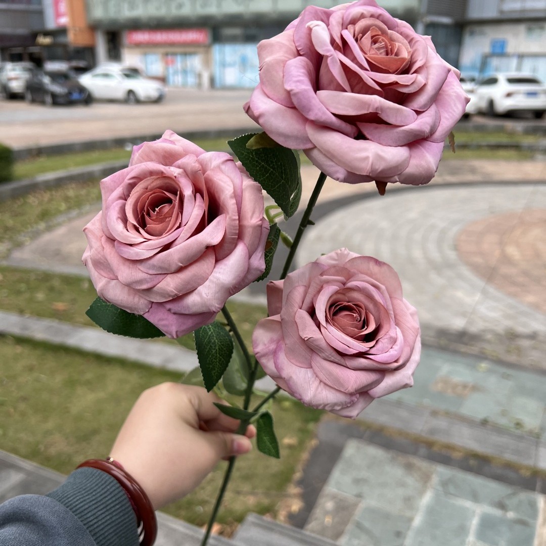 Pasta de frijol rosa con borde enrollado de 3 piezas