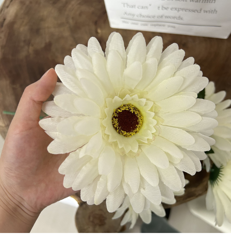 cream white