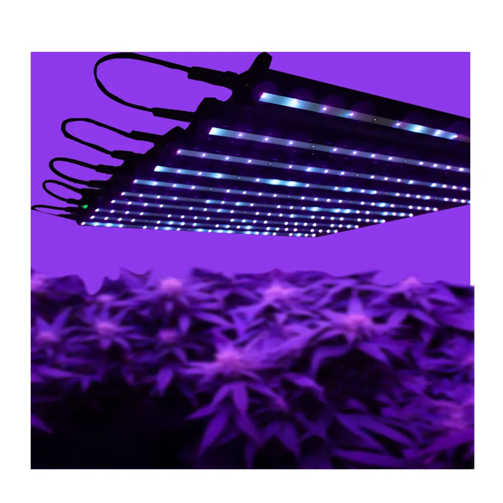 أنبوب ضوء نمو LED مخصص الأشعة فوق البنفسجية 660 نانومتر 3000 كيلفين 6000 كيلفين طيف كامل أضواء لنمو النباتات العشب الخضروات تعزيز النمو