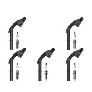 奔驰迈巴赫S550 UF733 UF741 ZR6SII3320 0221604034 IC839点火线圈火花塞