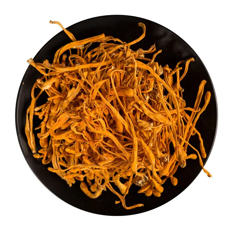 Natural Dried Cordyceps Flower Relieve Asthma And Relieve Cough Cordyceps Militaris Flower