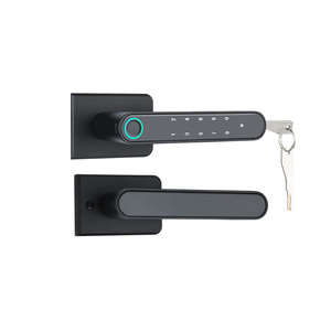 Security Smart Biometric Fingerprint Door <strong>Lock</strong> TTLock APP Password <strong>Key</strong> for Glass Door <strong>Lock</strong> - Product Image 1