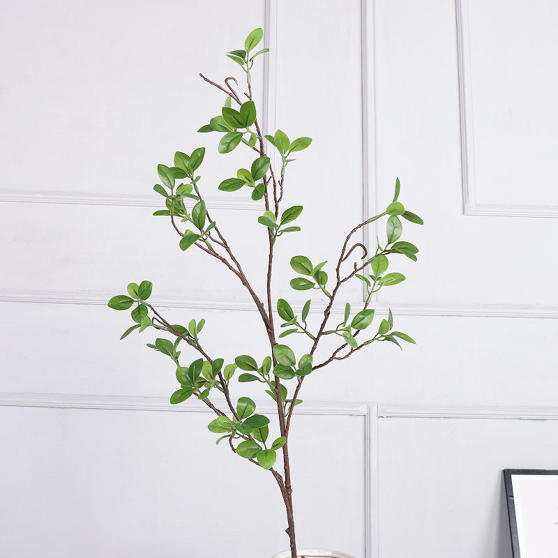 สีเขียว