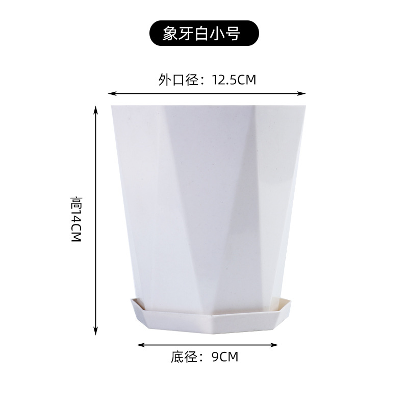Ivory white small