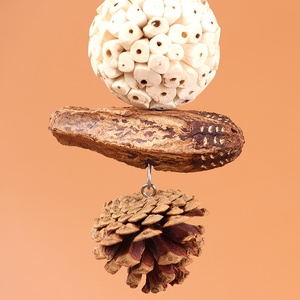 Thân Thiện Với Môi Gỗ Chim Đồ Chơi Trái Cây Tự Nhiên Hạt Chuỗi Sao Trái Cây Thông Nón Vẹt Căng Thẳng Cứu Trợ Bóng Đi kèm Trong Một Túi - Product Image 4