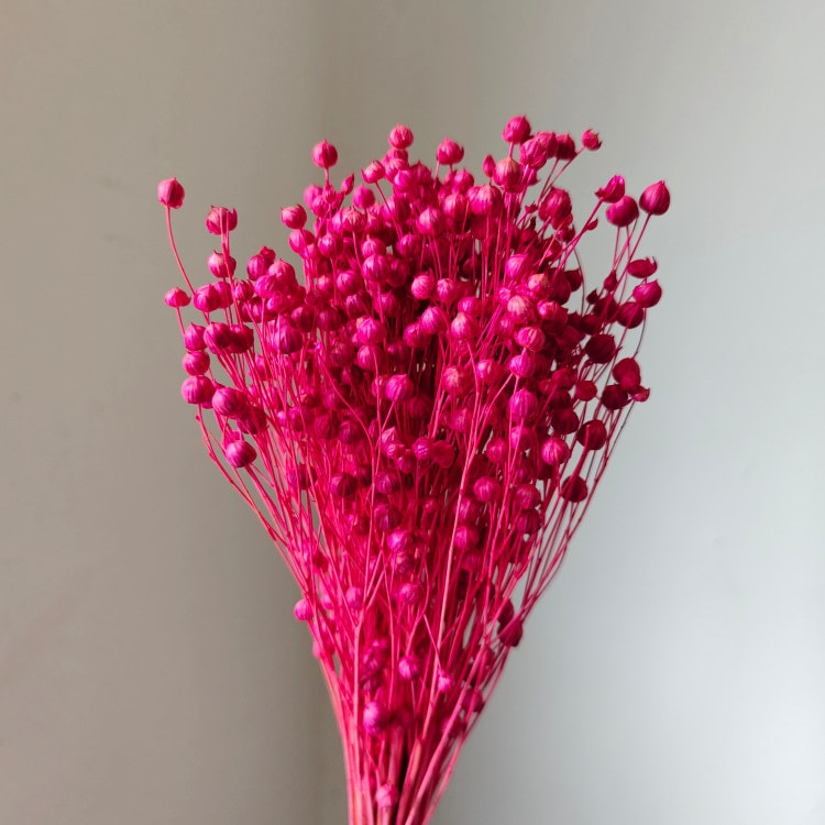 rose rouge