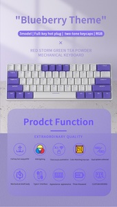 卸売HW61ファッショナブルなゲーミングメカニカルキーボードUSBType-Cテクノロジー61キー
