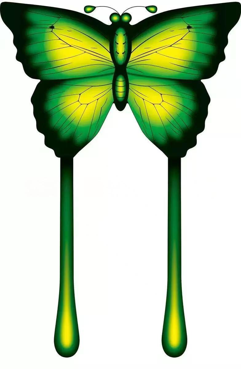 Papillon vert de 1,4 mètre de long pour la photographie