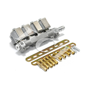 Sequentielles Kraftstoffs ystem 3Ohm GNV GLP 4 Zylinder LPG/Cng Injektors chien wagen für sequentielle Einspritz sätze