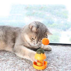Mayorista Gato Giratorio Hierba Gatera Con Bola De Resorte Juguetes Hierba Gatera Natural Boca Limpia Promover La Digestión Gato Juguetes Suministros Para Mascotas - Product Image 2