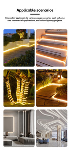 COB <strong>LED</strong> Strip 320 480 <strong>LEDs</strong>/M DC12V 24V <strong>LED</strong> Strip Light 3000K 4000K 6500K 180 Degree Big View Angle Dot Free - Product Image 3