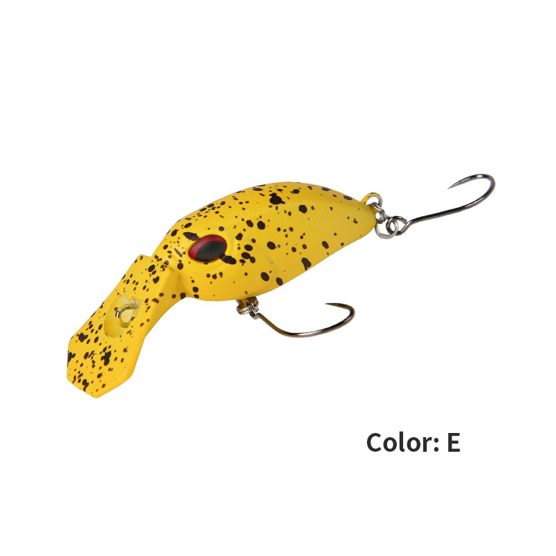 Color 5