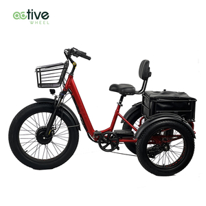 2024 mới-Nâng cấp 48V pin lithium 1000W Xe đạp điện chất béo núi Ba Bánh Điện - Product Image 2