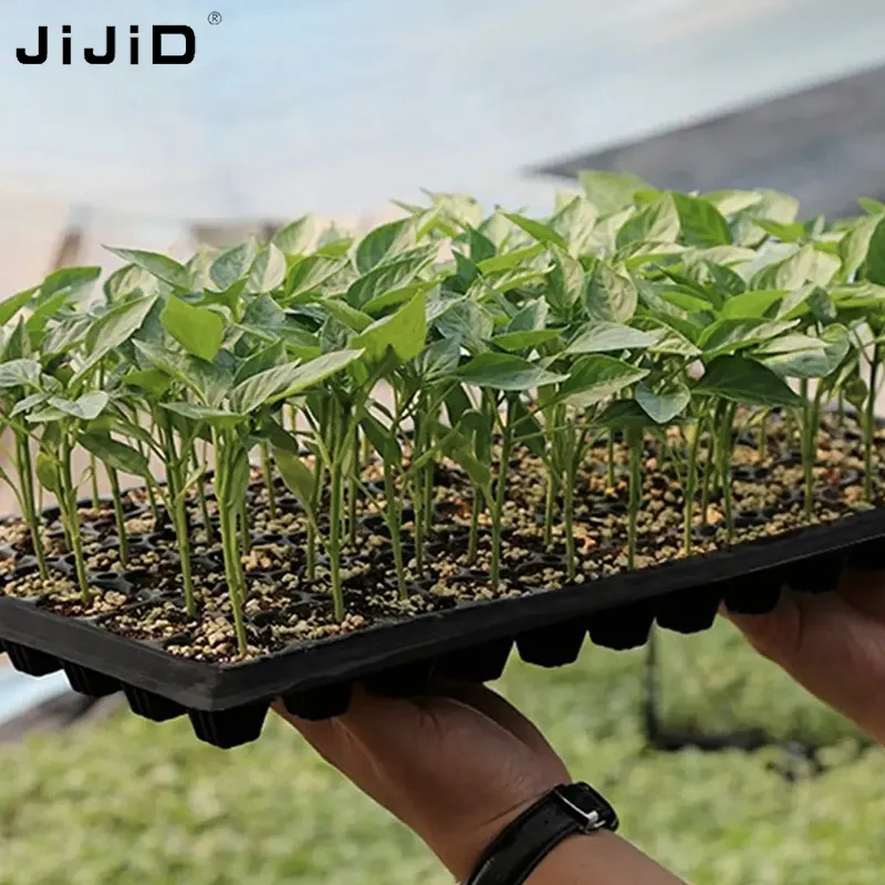 JiJiD 50 72 105 128 200 Plateaux de semences en plastique à bouchon cellulaire Plante verte 24 72 104 Trous Plateaux de pépinière de semis de jardin à vendre