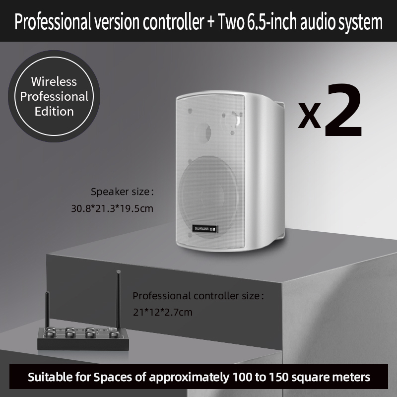 1 Controller & 2 White Speakers