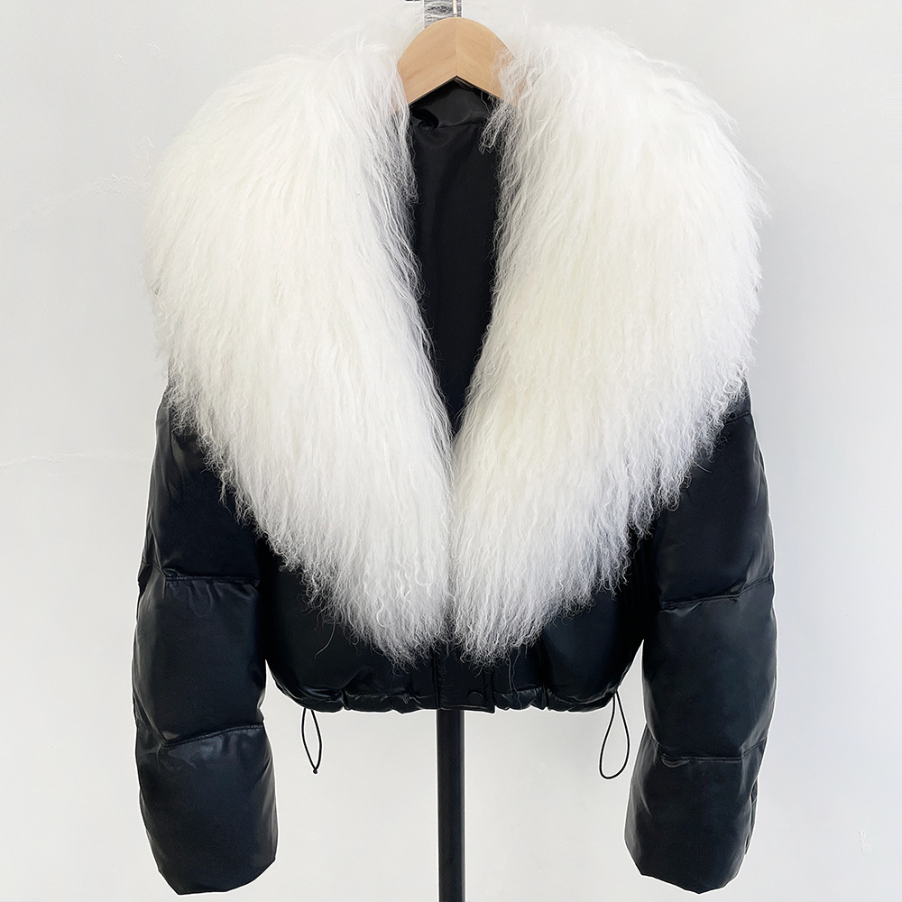 Noir + Blanc pur