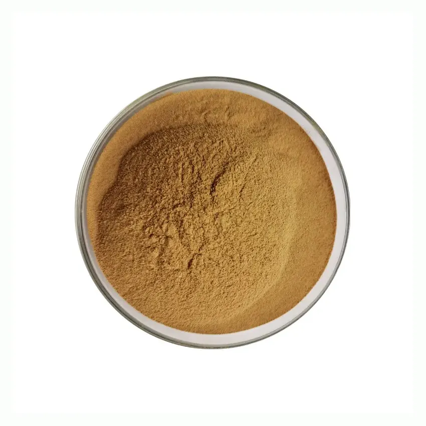 Supply Ivy Leaf Extract Natural Food Grade 10:1 Ivy Leaf Extract Powder