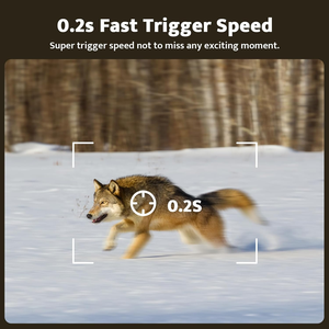 4G Trail <strong>Camera</strong> 2K Game <strong>Camera</strong> UBox/UCon APP Scouting Cam for Outdoor Wildlife Monitoring Cellular Hunting <strong>Camera</strong> for <strong>Australia</strong> - Product Image 3