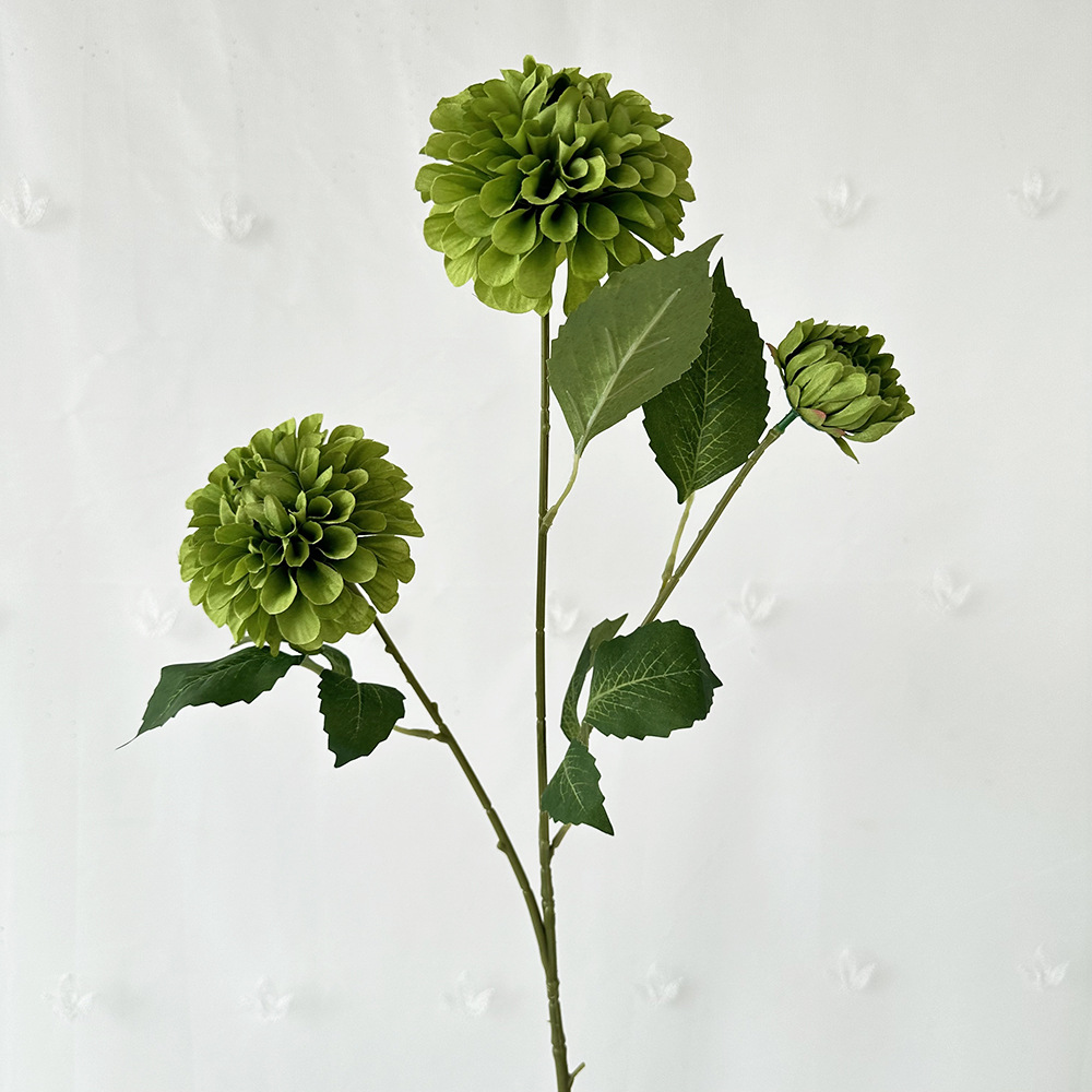 Fragancia oscura, verde