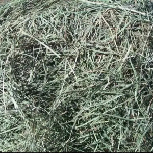 Viên cỏ linh lăng tối cao cho thức ăn chăn nuôi-chất lượng hàng đầu đảm bảo xuất khẩu thức ăn chăn nuôi tốt nhất - Product Image 1