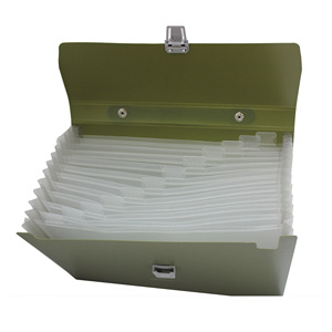 Carpeta de archivos expandible A4 profesional Carpeta de archivos expandible gris de 12 bolsillos - Product Image 1