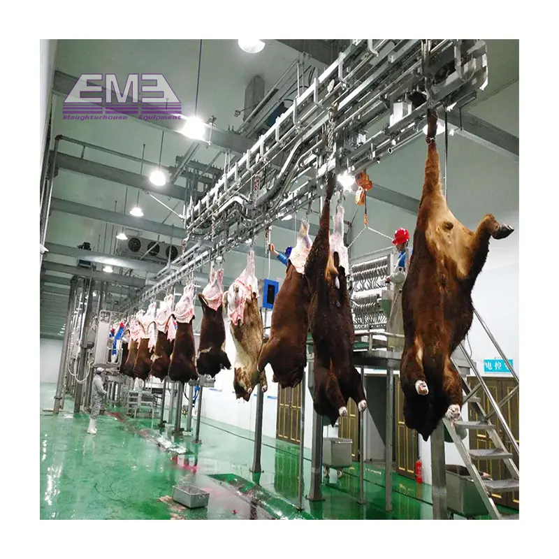 Halal Small Cattle Slaughter house Schlachthof Beef Line für 50 Kuh schlacht geräte