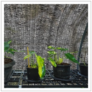 100% HDPE Hochwertiges Sonnenschutz netz Anti-Aging-Kunststoff netz Outdoor-Sonnenschutz netz für den Landwirtschaft garten gestrickt