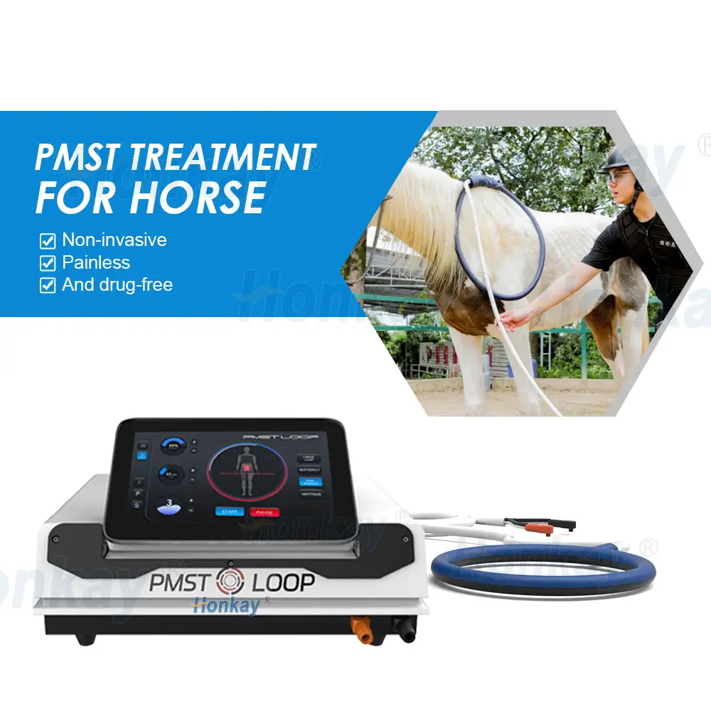 Macchine più recenti PMST LOOP PRO MAX Pemf dispositivo di terapia magnetica professionale Pemf recupero tappetino per massaggio macchina per il dolore