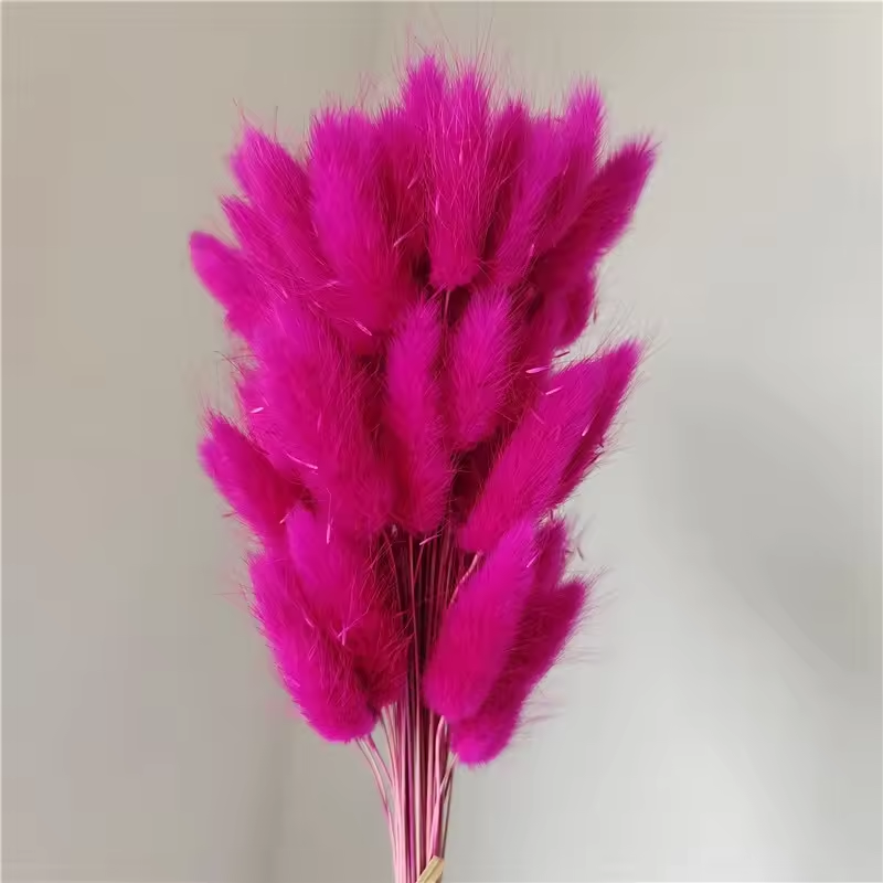 Rose madder