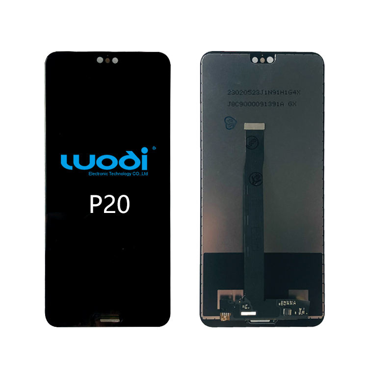 P20