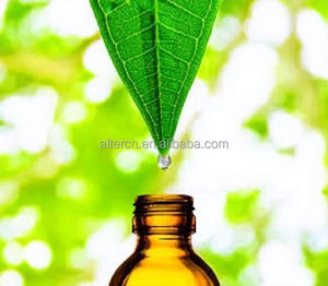<strong>Oil</strong> of Plants <strong>Oil</strong> Pure Natural and High Quality Birch Anise Pine Needle Jasmine Bark <strong>Oil</strong> - Product Image 1